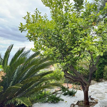 Costarainera Villa Cielo מראה חיצוני תמונה