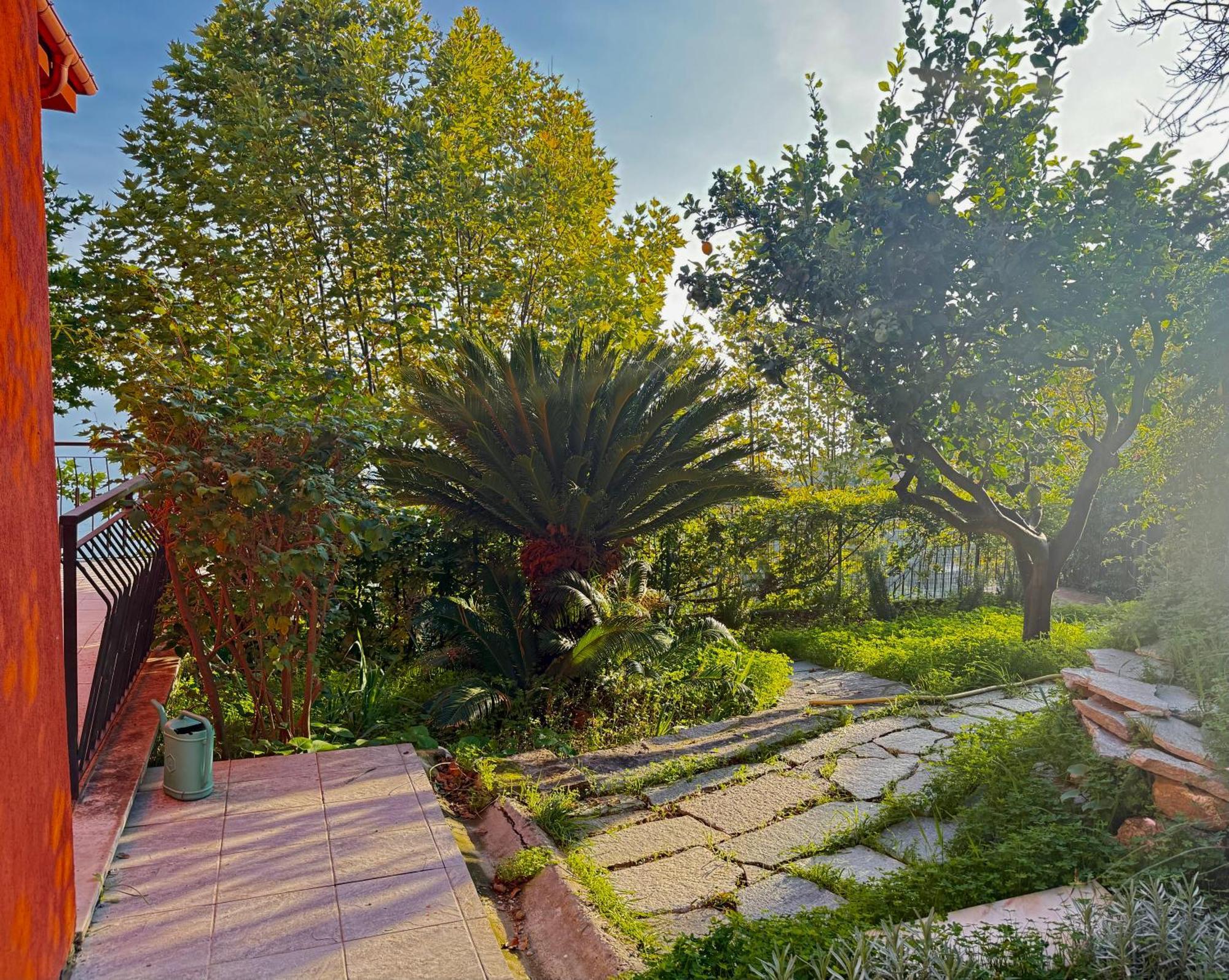 Costarainera Villa Cielo מראה חיצוני תמונה